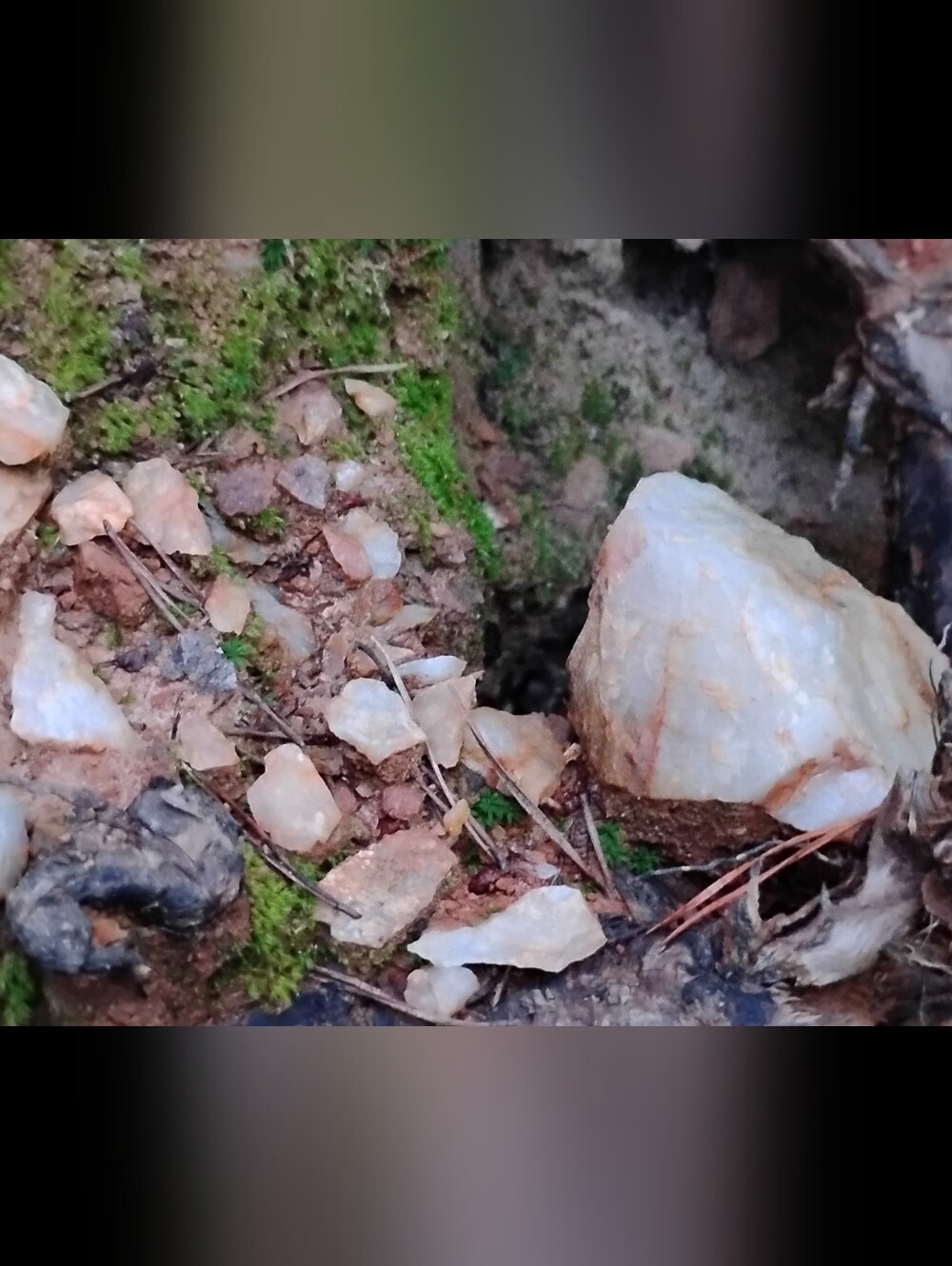 Raw Appalachian Quartz - Picture 4 of 7